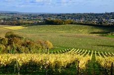 English wine estates