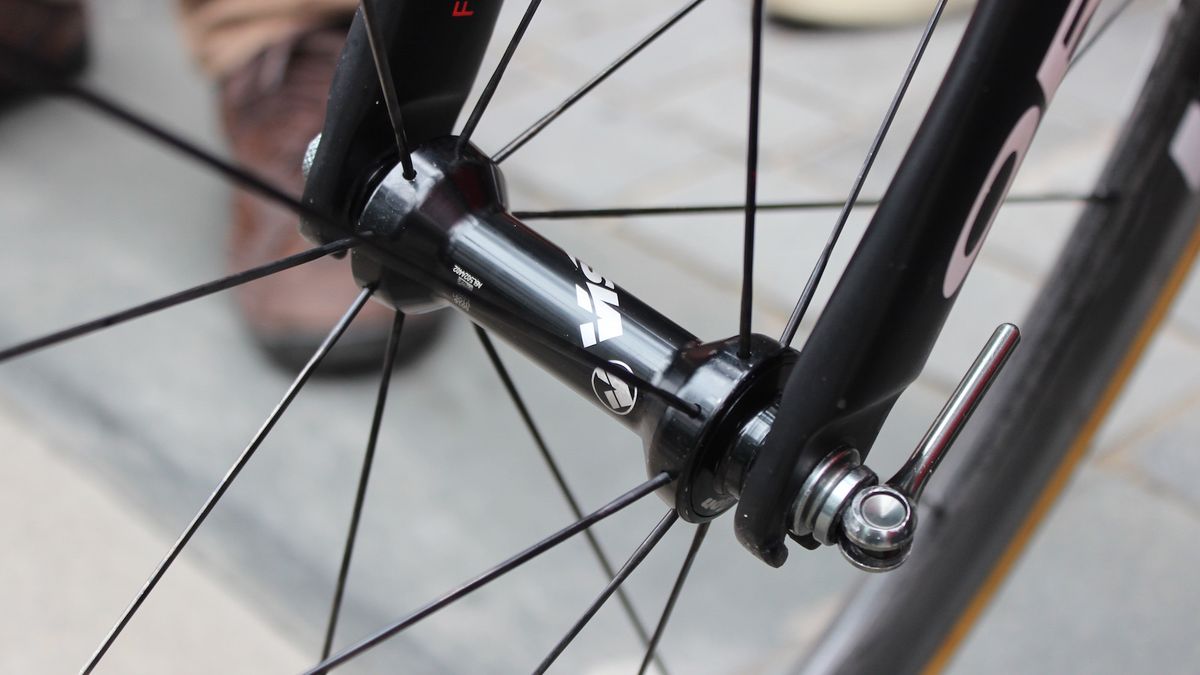A closer look at the front hub and fork dropouts