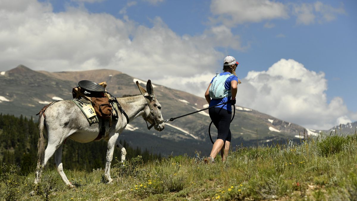 Racers and their burros make their way towards Mosquito pass 