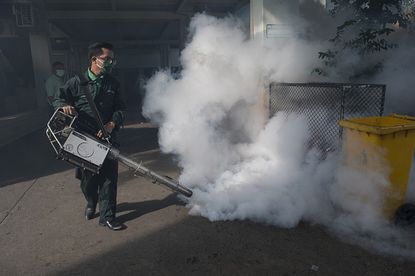 A worker sprays to kill mosquitoes.