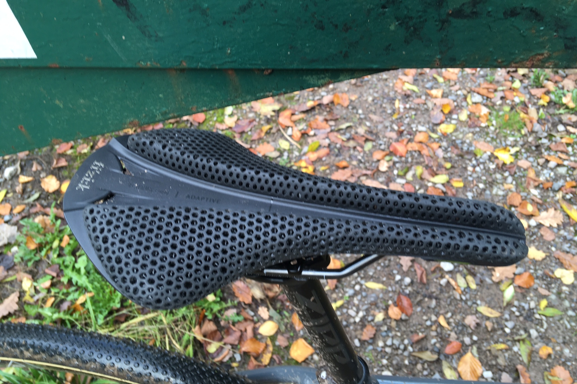 Images shows Fizik Antares adaptive saddle in the wild