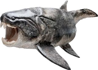 a reconstruction of the placoderm Dunkleosteus