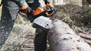 Person wearing protective outdoor gear using a chainsaw for cutting through a tree.