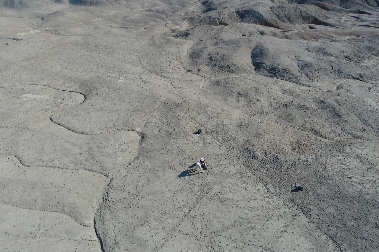 An aerial view of the Ledi-Geraru excavation site.