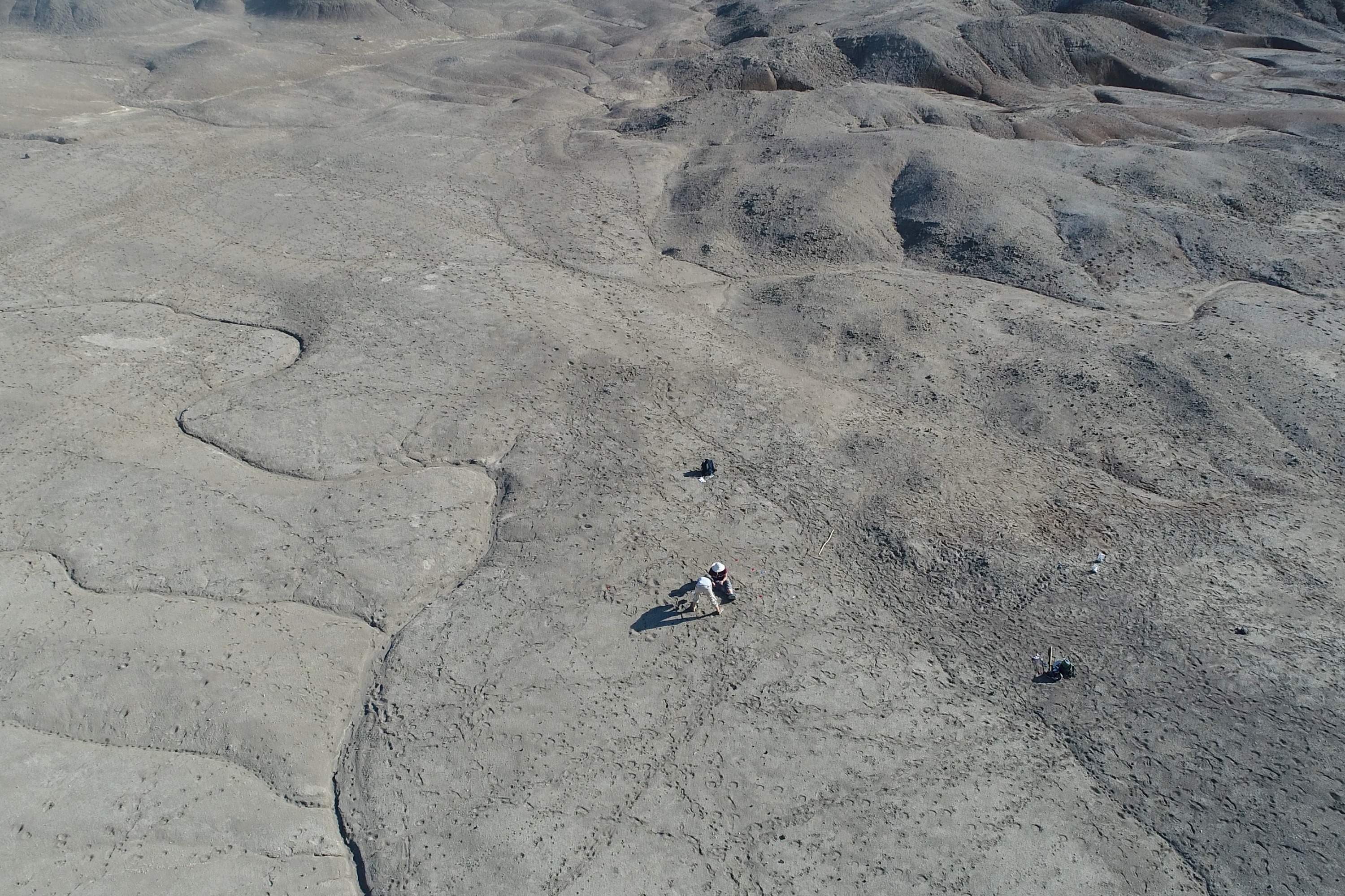 An aerial view of the Ledi-Geraru excavation site.