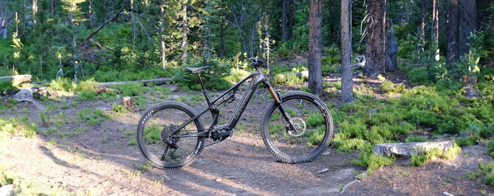 Cannondale Moterra SL 1 parked in a forest bathed in sunlight