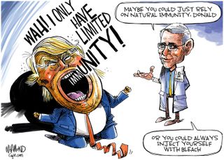 Political Cartoon