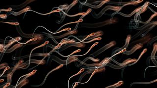 an illustration of many human sperm cells swimming from the lower left to upper right corner against a black background
