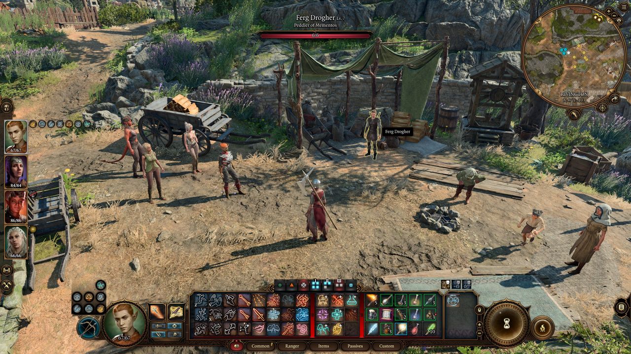 Baldur's Gate 3 House of Grief - Sharran lookout