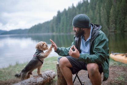 A man gives a dog a high five