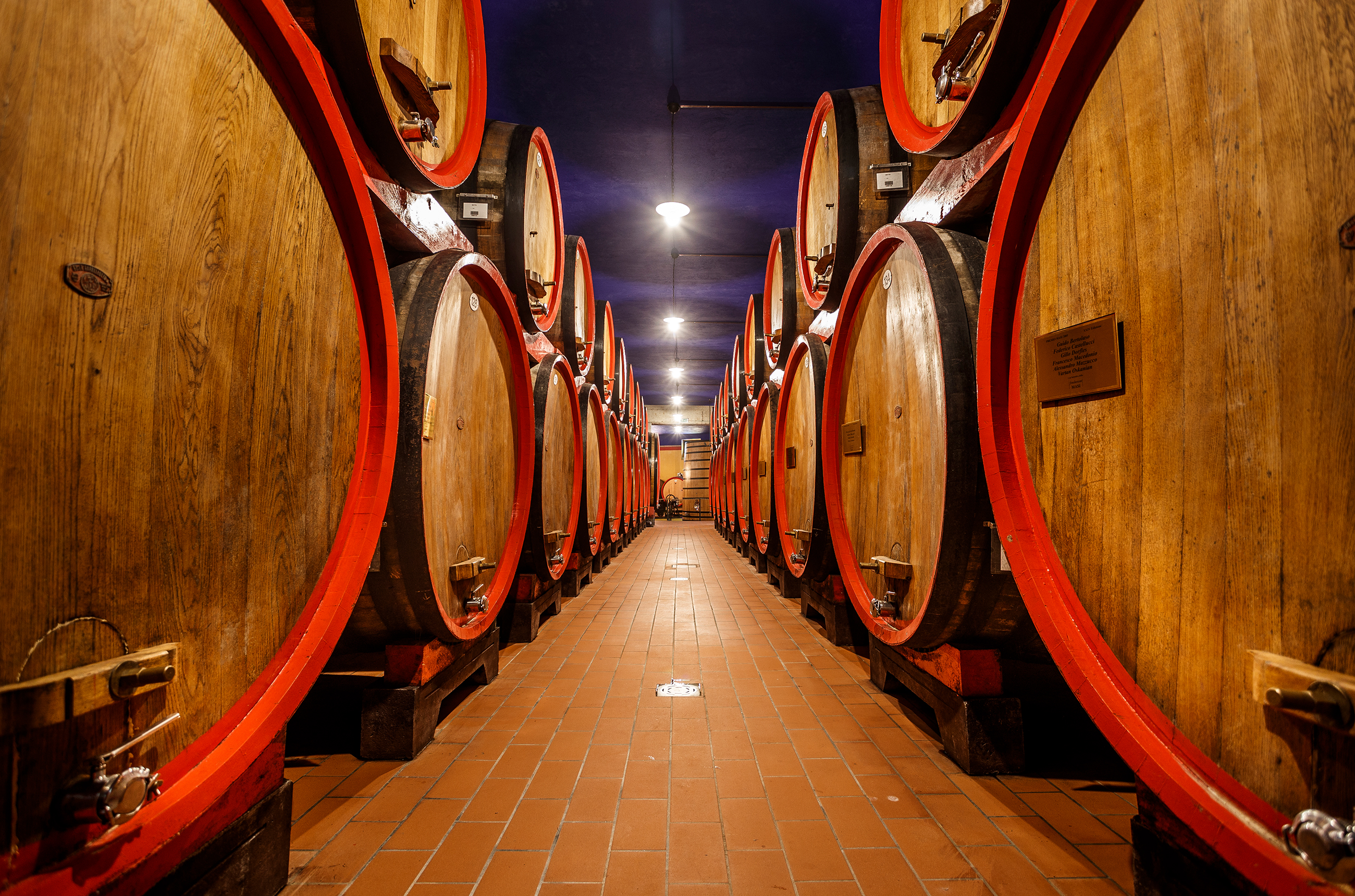 A cellar with large oak barrels on terracotta tiled floors