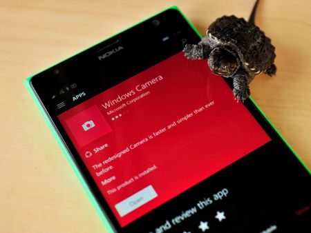 Windows Camera app with turtle