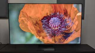 TCL C805 with flower on screen