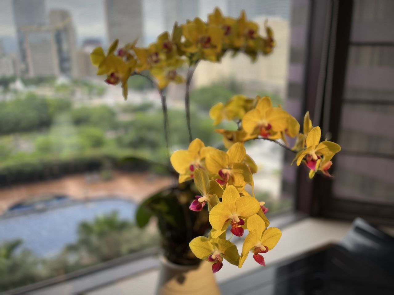 Images taken using the Leica LUX app on an iPhone 13