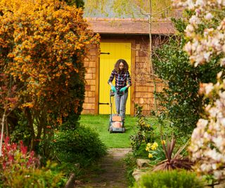 mowing lawn in late summer