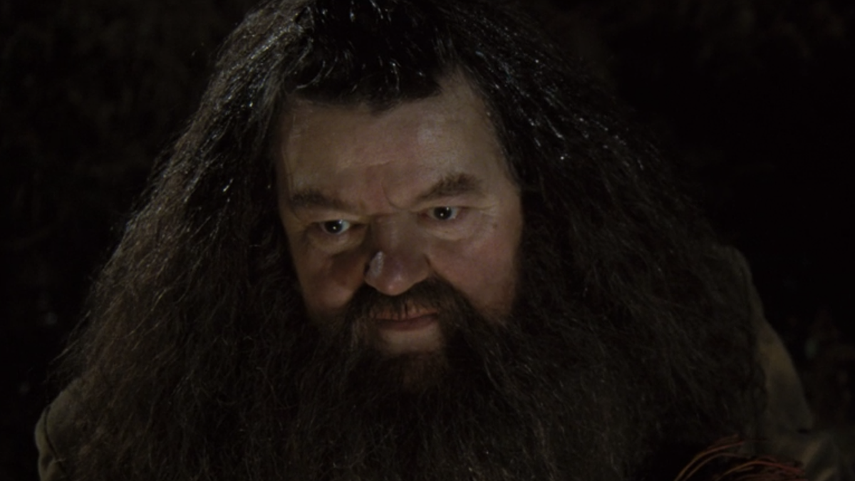 Robbie Coltrane as Hagrid in Harry Potter