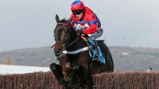 2CWTK5J Barry Geraghty on Sprinter Sacre jumps the final fence on his way to winning the Queen Mother Champion Chase at the Cheltenham Festival horse racing meet in Gloucestershire, western England March 13, 2013. REUTERS/Eddie Keogh (BRITAIN - Tags: SPORT HORSE RACING)