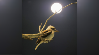 a bird sits on a tree branch in front of a bright full moon in the background