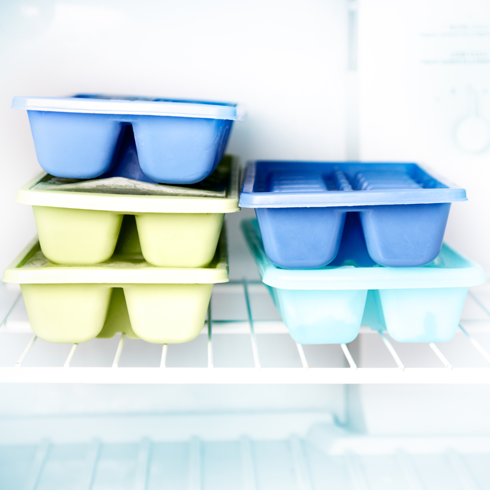 ice cube trays in a freezer 