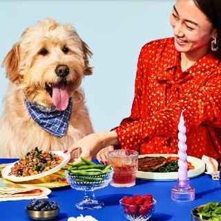 A woman and a dog wearing a neckerchief sitting at a dinner table in front of fresh fruit, veg, and meat.