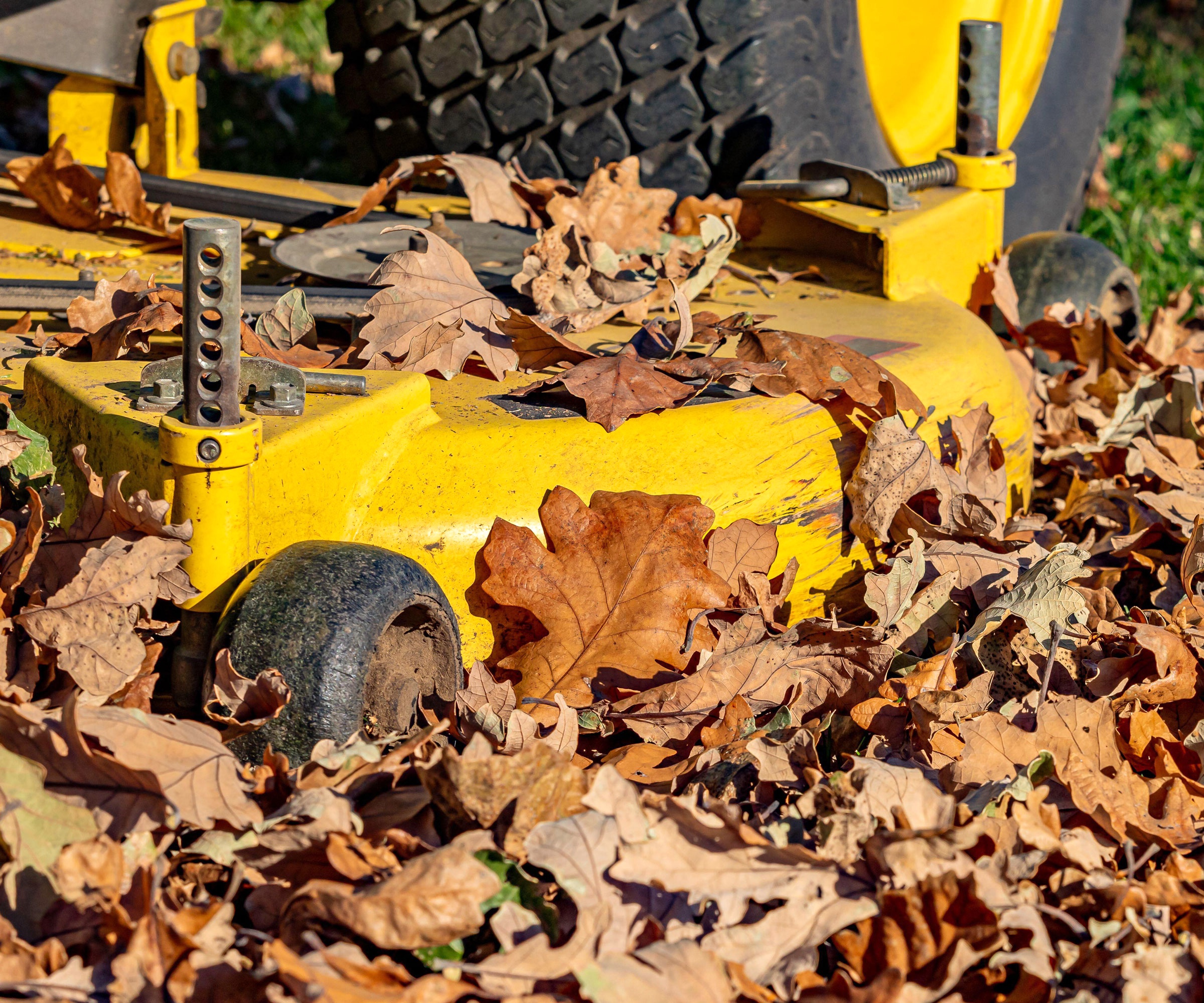 yellow lawn mower mulching autumn leaves on grass