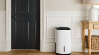 dehumidifier in panelled hallway in between wooden console table and dark grey internal door