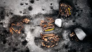 an array of human bones shown partially buried in the ground, with two bones highlighted in yellow