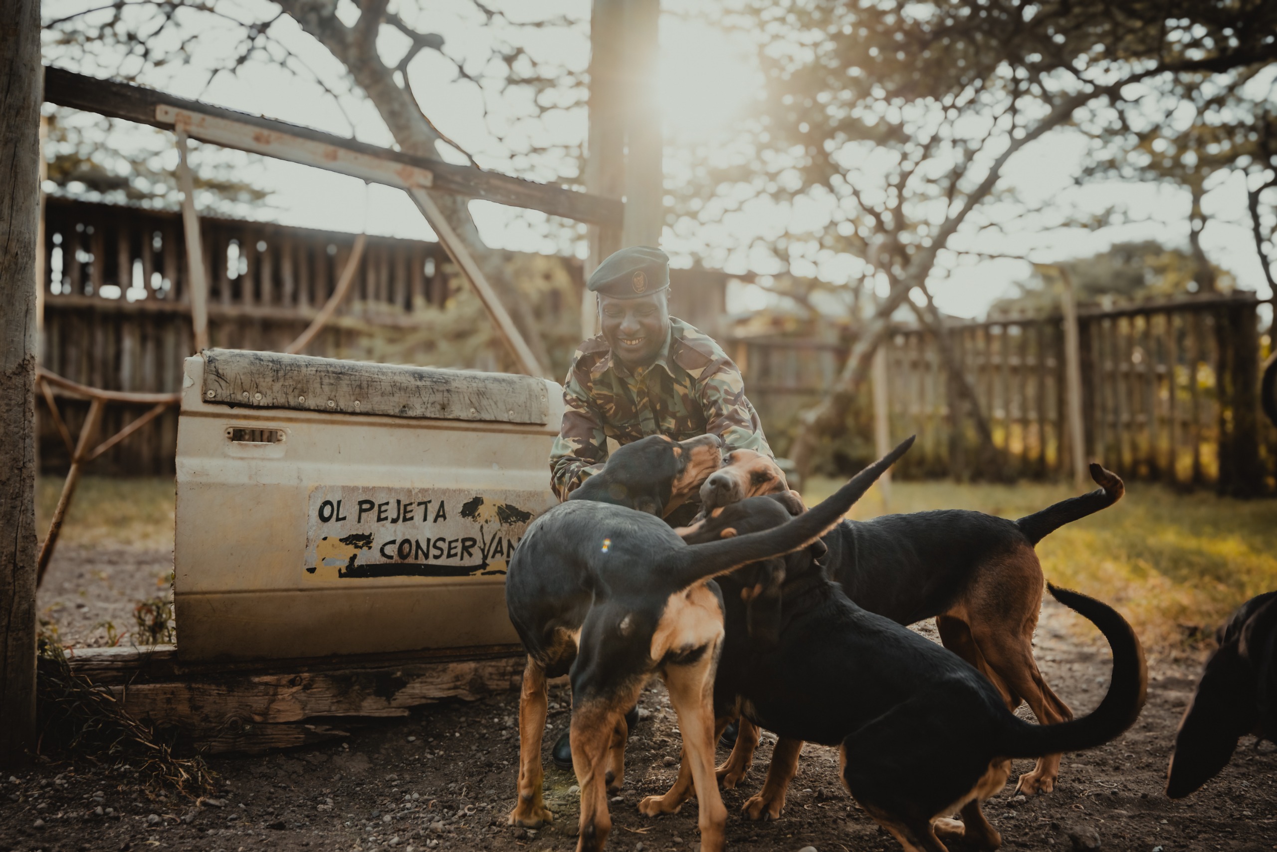 Ranger crouched with the tracking hounds by the "Ol Pejeta Conservancy" crate