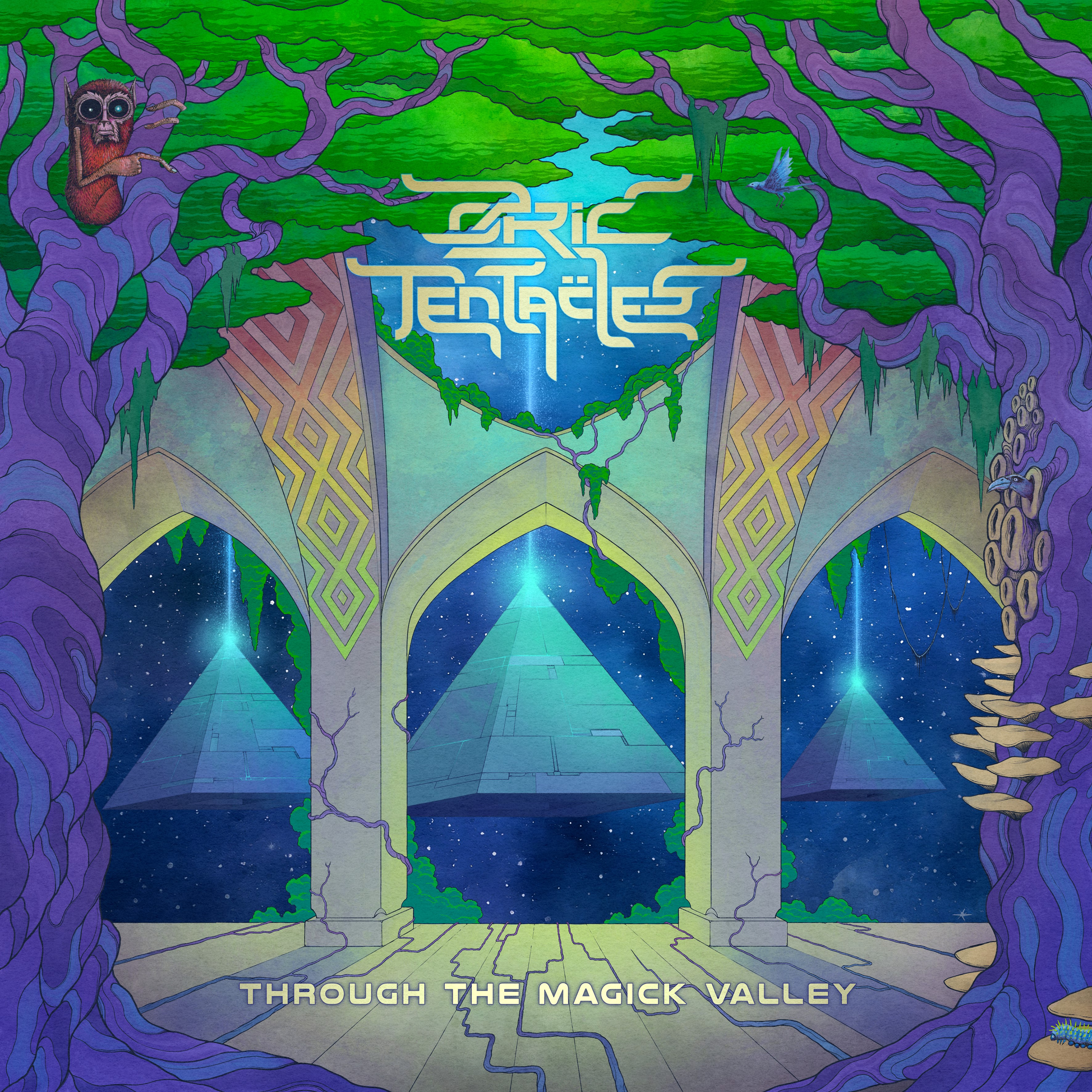 Ozric Tentacles Through The Magick Valley box set cover