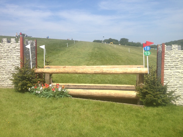 Bramham2015CCI18