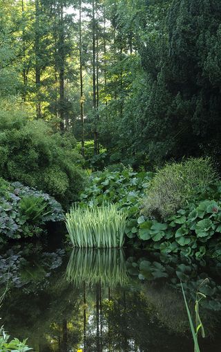 Benvarden ©Val Corbett/Country Life