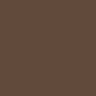 Brown paint swatch