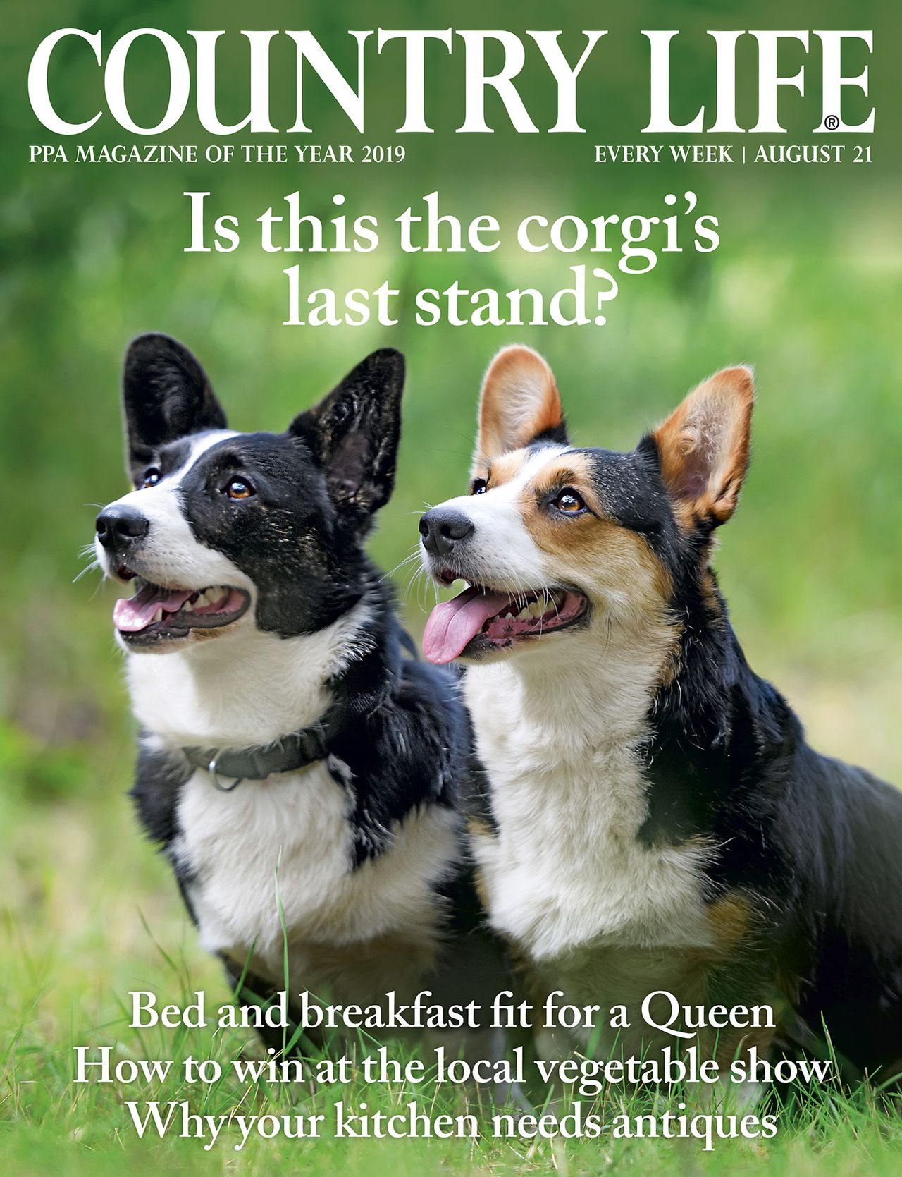 Country Life 21 August 2019