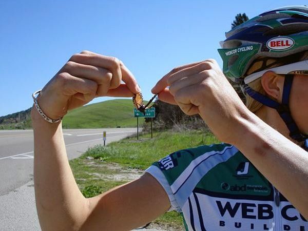 A butterfly found during a ride at the team camp.