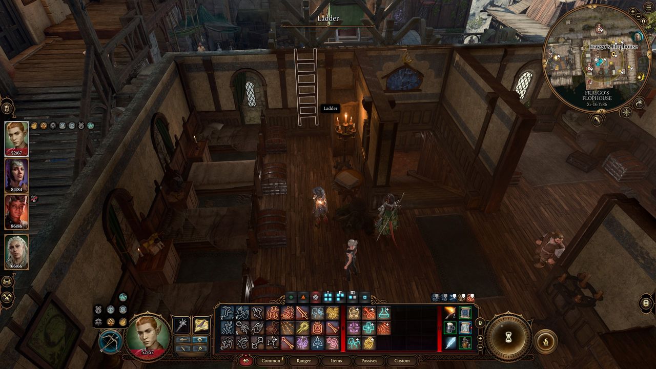 Baldur's Gate 3 Flower Key - Ladder