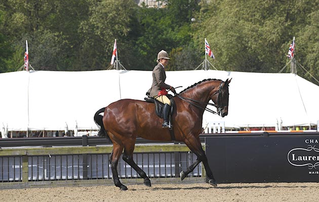 RWHS 09 05 2018
