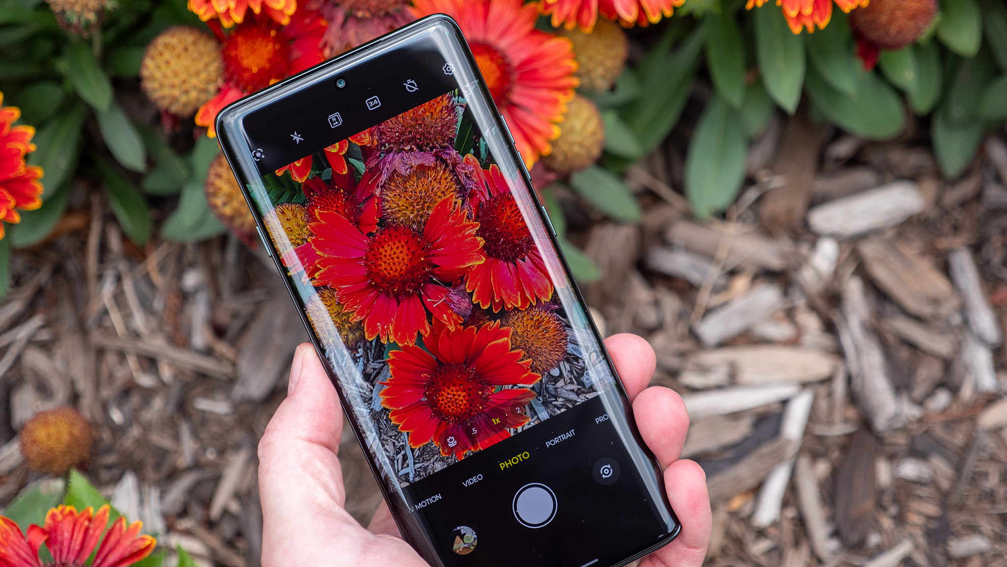 Taking a macro shot of red flowers with the Motorola Edge 2025
