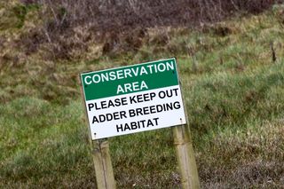 conservation areas