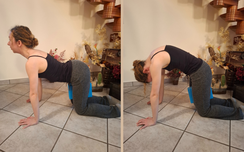 Two images, side-by-side, show Nicole Benedettini performing cat-cow. In the left image, she is on her hands and knees, head facing forward, with her back arched and a yoga block clasped between her thighs. In the right image, she is on her hands and knees, with her back rounded and head dropped towards the floor, and a yoga block clasped between her thighs.