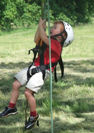 Tree Climbing