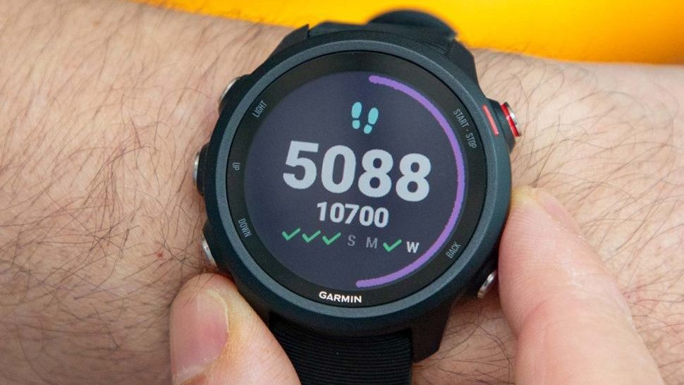 Garmin Forerunner 245 vs Forerunner 255 — which should you buy? | Tom's ...