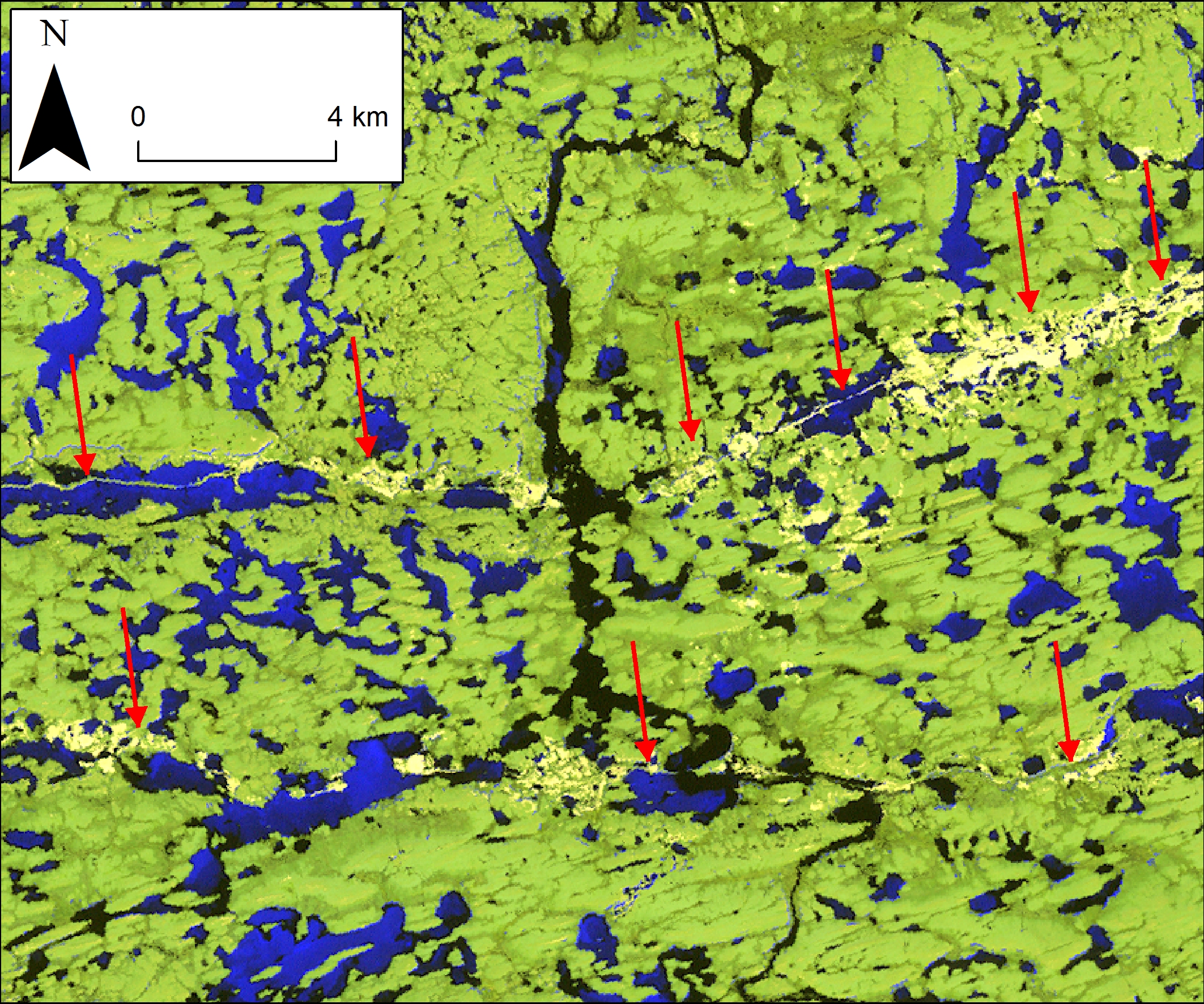 A satellite image of eskers in Canada's Northwest Territories. Blue is water, green is tundra and pale yellow is the sand and gravel of the eskers.