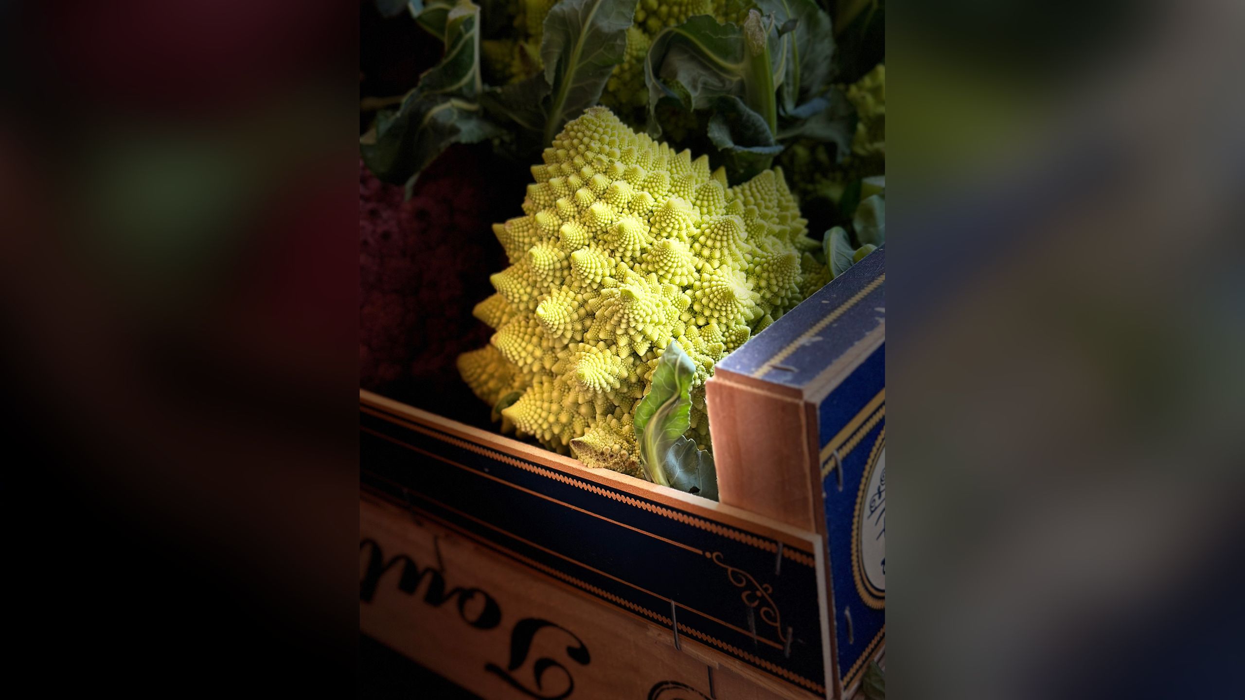 Award-winning image features a vegetable the young photographer had never tasted
