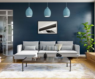 A luxury living room with a navy wall