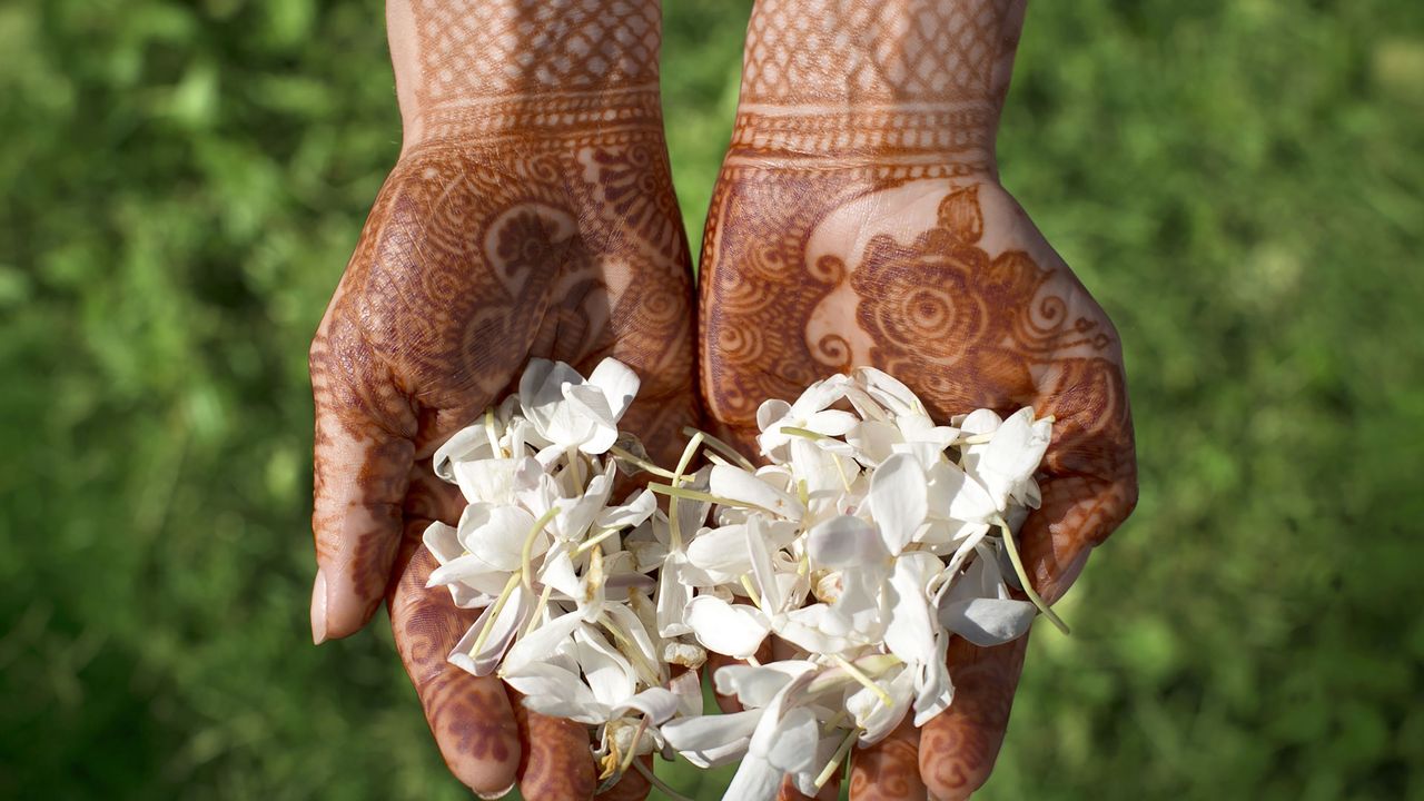 Hand, Grass, Nail, Bride, Plant, Gesture, Marriage, Flower, Wildflower, 