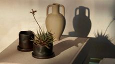 two small plant pot and saucer sets with small cactus on books with a large vessel behind