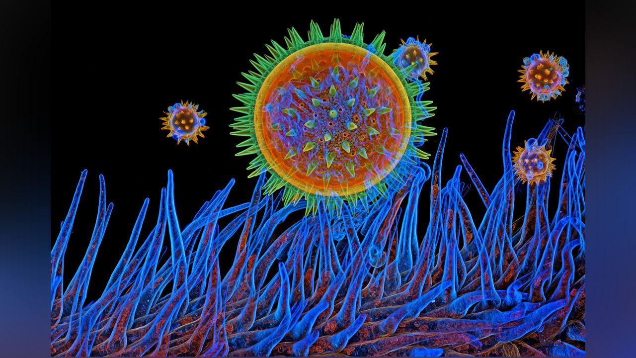 Microscopic image of pollen.