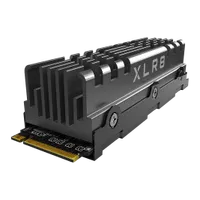PNY XLR8 3140 M.2 PCIe 4 SSD mit Kühlkörper