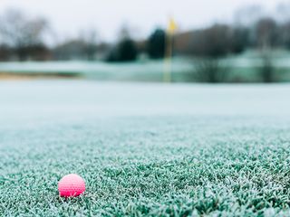Winter golf green with a pink golf ball