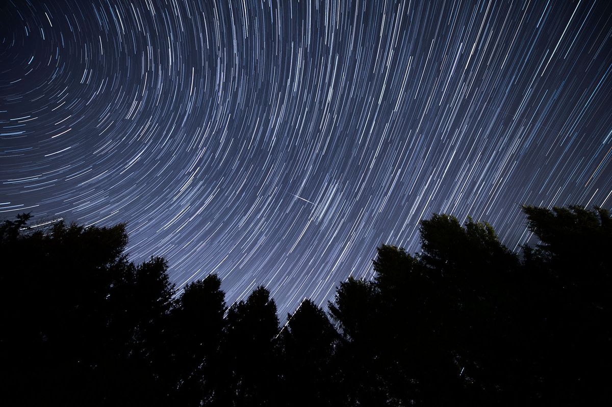 The 2020 Lyrid Meteor Shower Thrills Skywatchers. Here Are The Best 